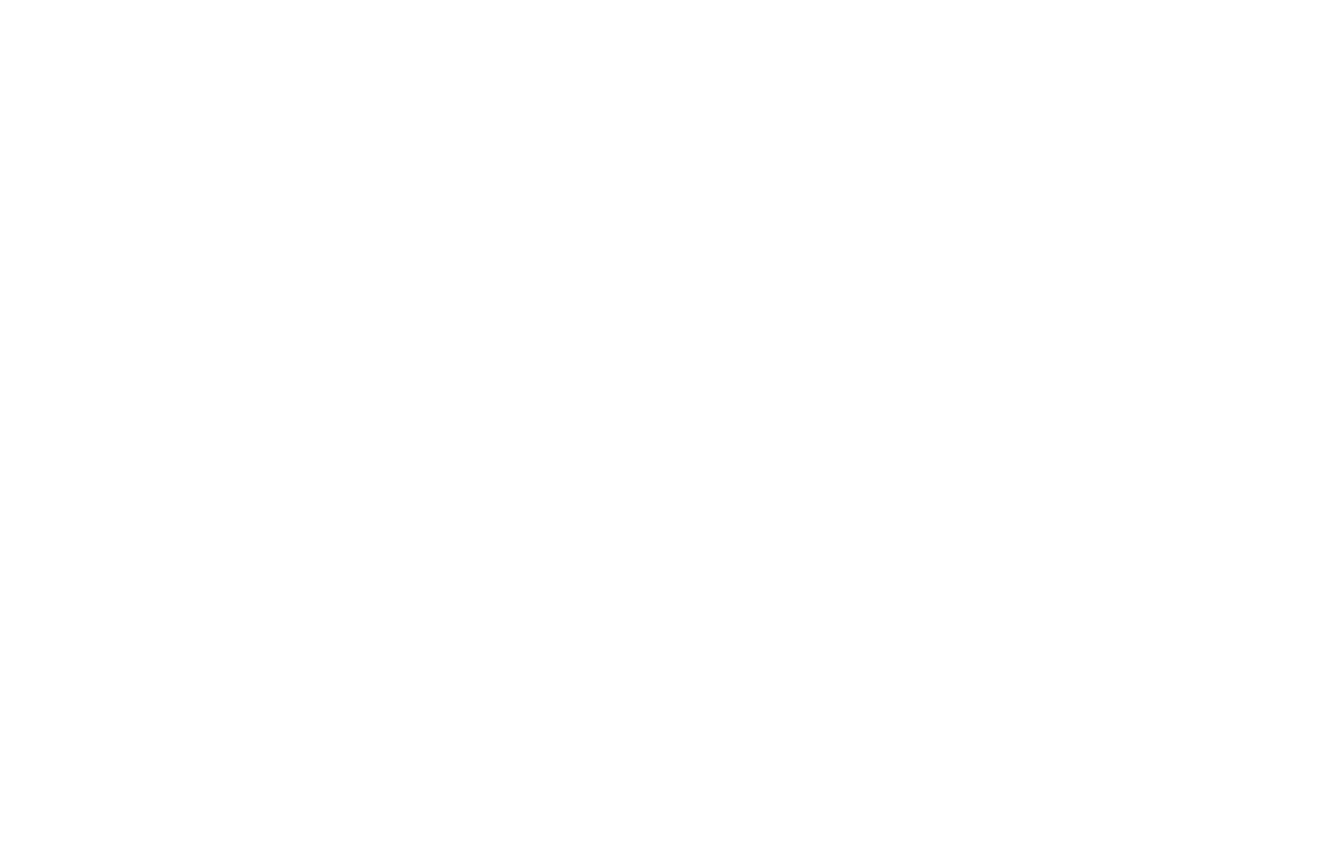NKT Muay Thai Rome logo